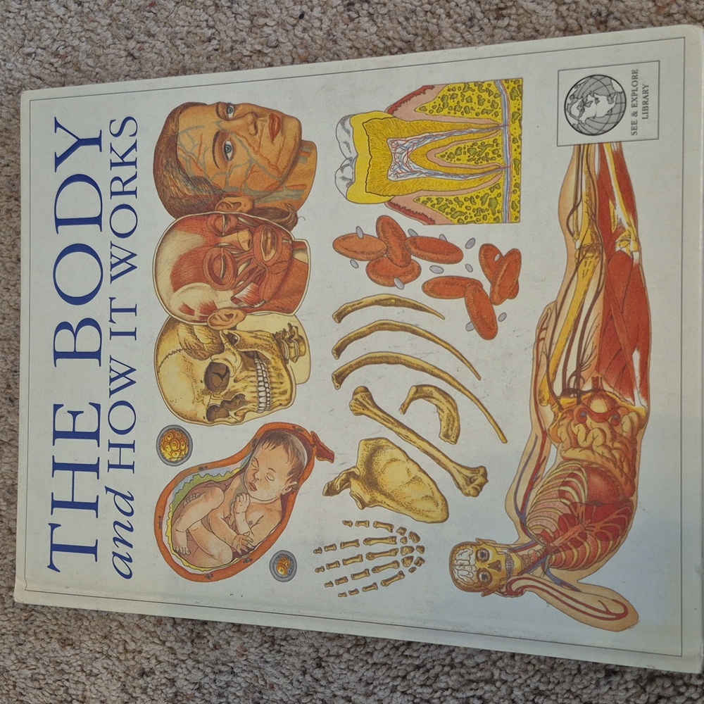 DK The Body And How It Works School reference Book HOMESCHOOL Science Anatomy